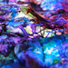 DSCF8445