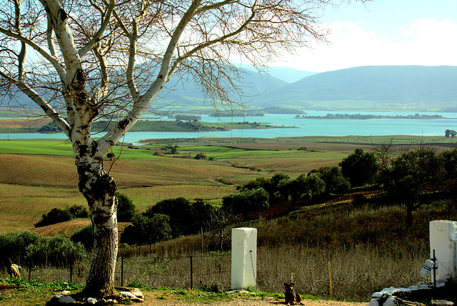 Embalse de Bornos