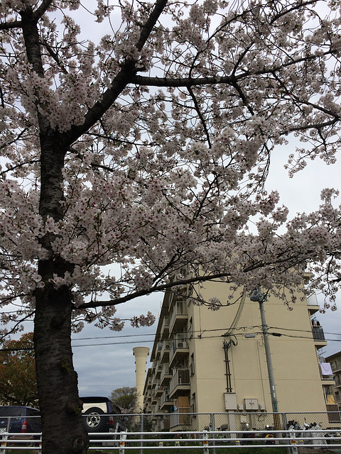 Water Tower & Youkan type