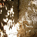 light games