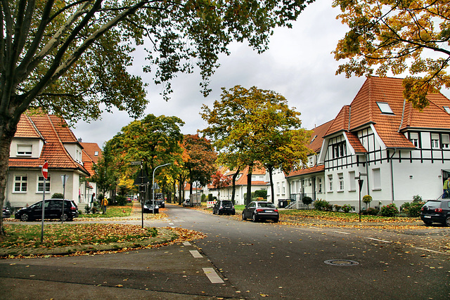 Flöttestraße (Gartenstadt Welheim, Bottrop) / 20.10.2021