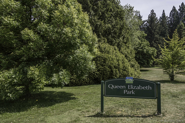 Queen Elizabeth Park (© Buelipix)
