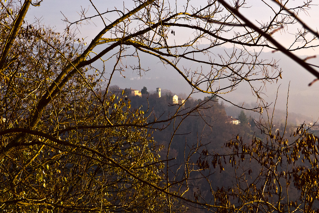 The light and haze of the afternoon on the hills of Monferrato, Alessandria