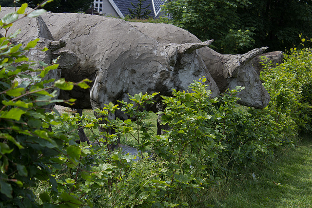 pétrifiées