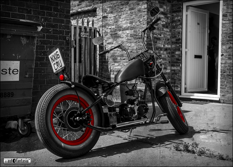 Splashes Of Red ...