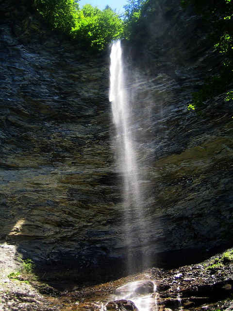 Voile de mariée