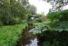 Geilston Burn