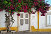 Tavira, Porta de Reixa