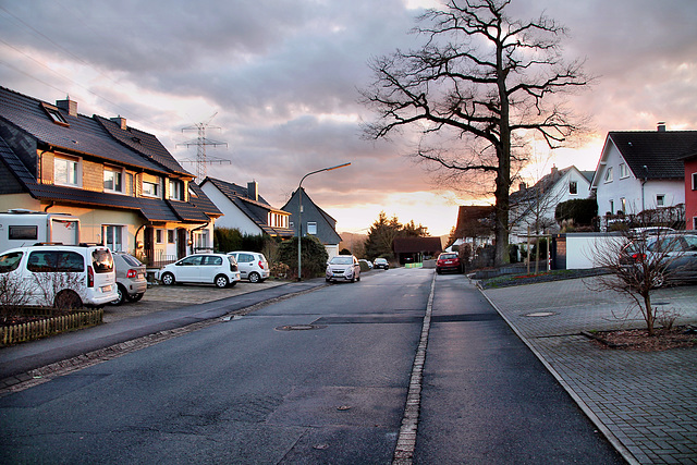 Tippelstraße (Hattingen-Niederbonsfeld) / 25.02.2024