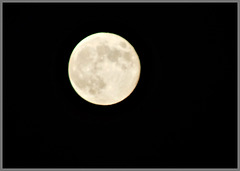 La Super Lune des fleurs du 7 Mai 2020