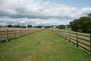 Sidmouth Donkey Sanctuary