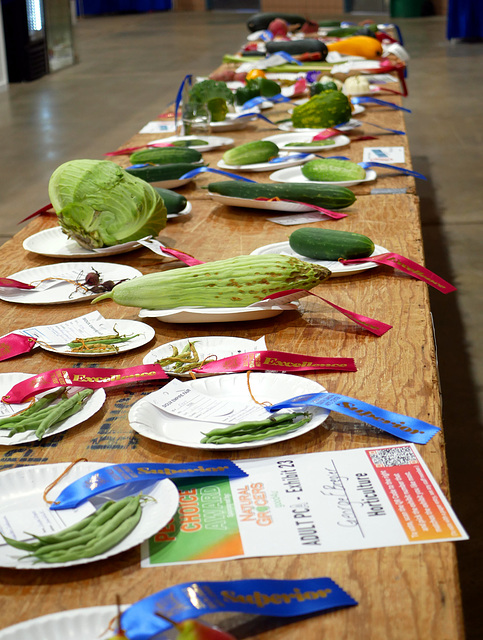 Vegetables (Judged) (HTT) Vegetables (Judged) (HTT)