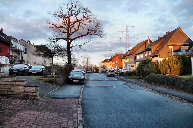 Tippelstraße (Hattingen-Niederbonsfeld) / 25.02.2024