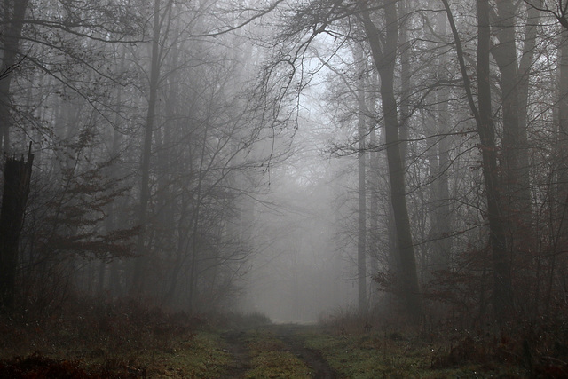 atmosphere glacial .....