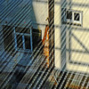 Nearby of the Scaffold