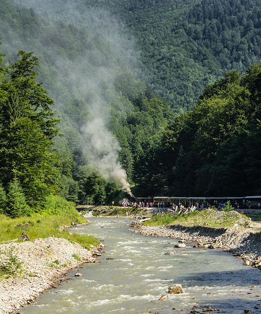 2011/07 - Wassertalbahn Maramures