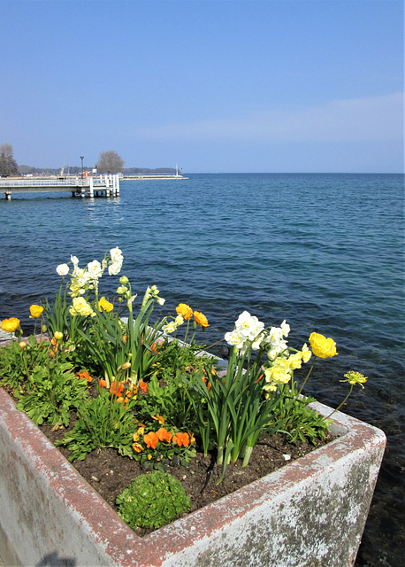 Nyon, Lake Geneva. Swiss Spring...