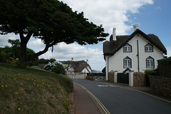 Thatched Houses On Peak Hill Road