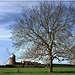 Napton Windmill, Warwickshire