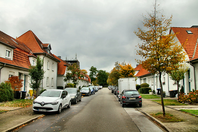 Streuwiese (Gartenstadt Welheim, Bottrop) / 20.10.2021
