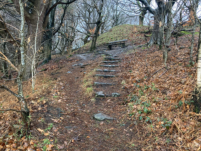 The steps up to the bench