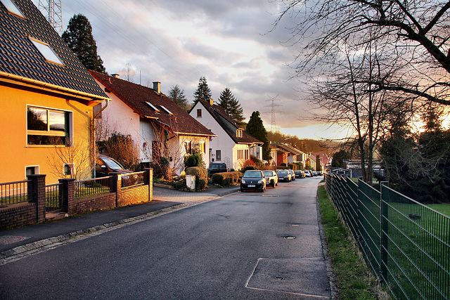 Tippelstraße (Hattingen-Niederbonsfeld) / 25.02.2024