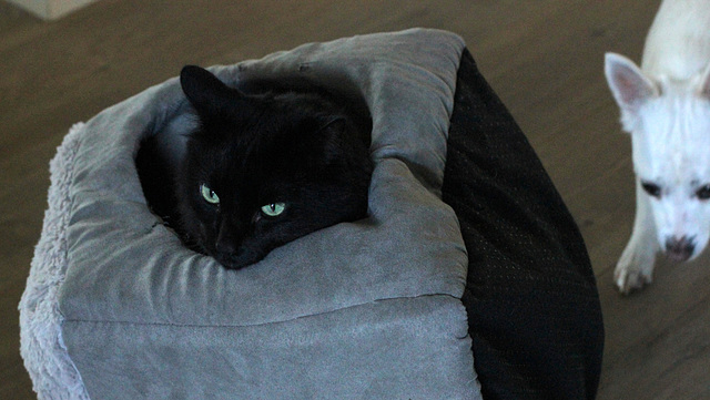 155/365 2025 warm in winter