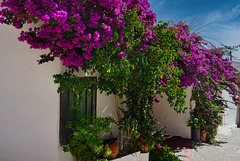 Noch ist es Sommer in Kreta - It's still summer in Crete Noch ist es Sommer in Kreta - It's still summer in Crete