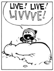 Calvin and Hobbes live live livvve