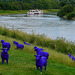 Blaue Schafe an der Weser