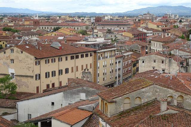 The Rooftops Of Pisa