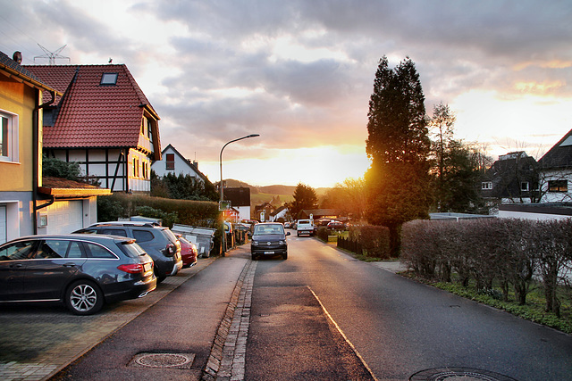 Tippelstraße (Hattingen-Niederbonsfeld) / 25.02.2024