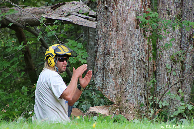 Need a Chainsaw This Big (Workmen: 3 of 4)