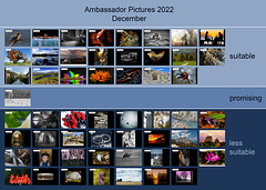 Ambassador Pictures 2022, December