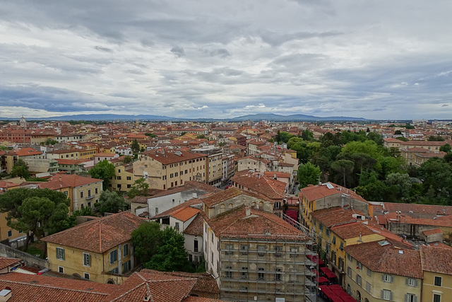 The Rooftops Of Pisa