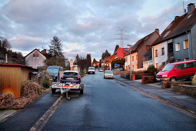 Tippelstraße (Hattingen-Niederbonsfeld) / 25.02.2024