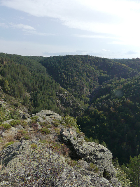20180910 -15 Randos solo Prévenchères (Lozère-Villefort) (400) al