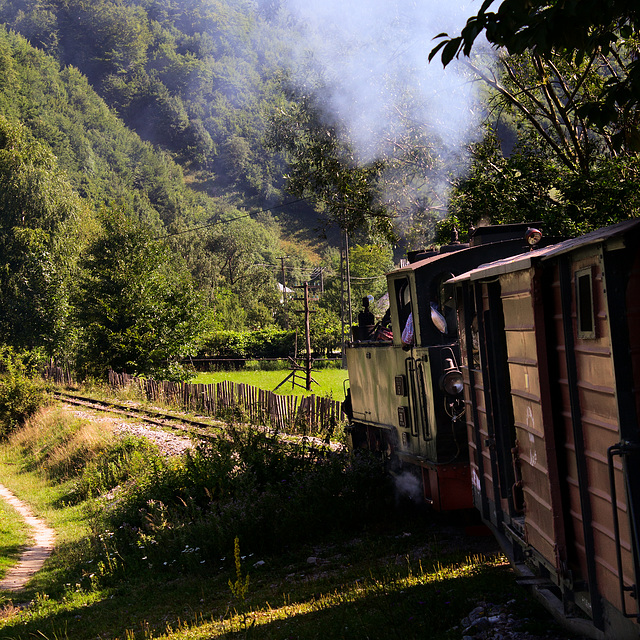 2011/07 - Wassertalbahn Maramures