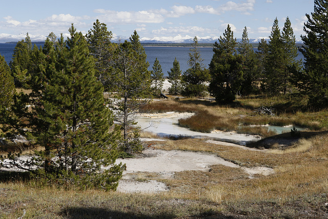 West Thumb Geyser Basin