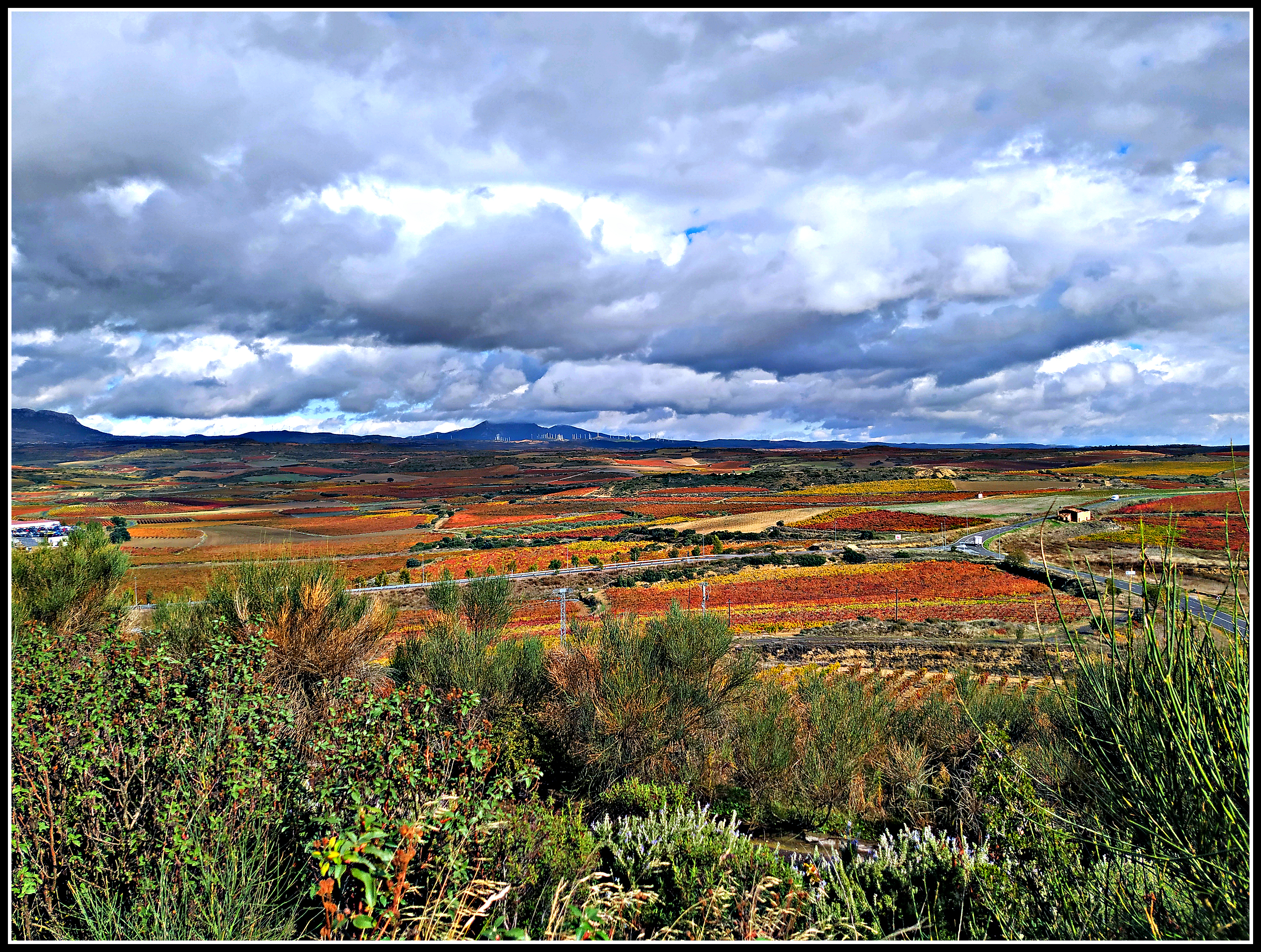 Paisaje de La Rioja alavesa, 2