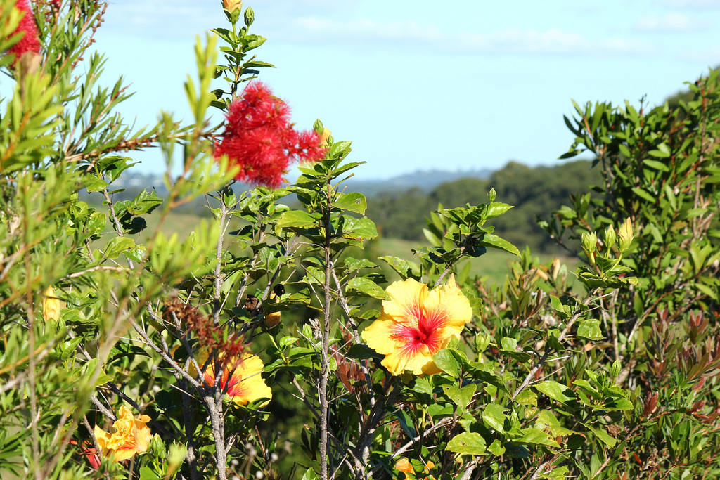 winter in Queensland