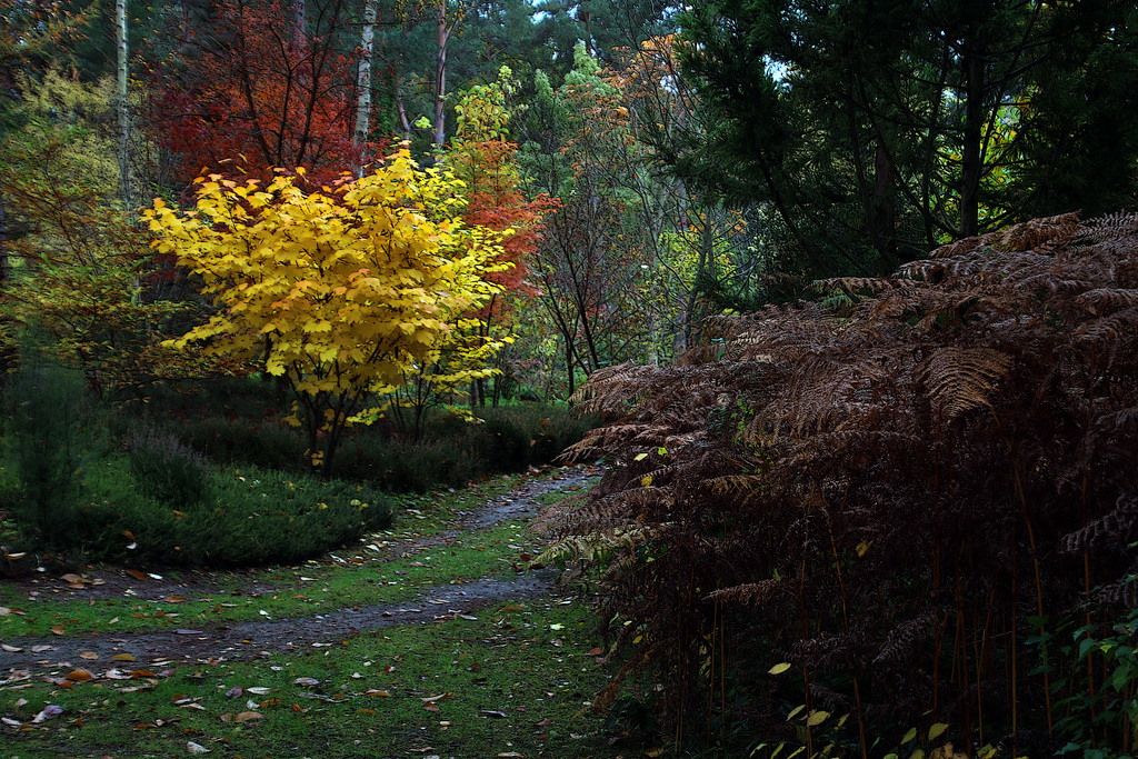 Une journée d'automne aujourd'hui .