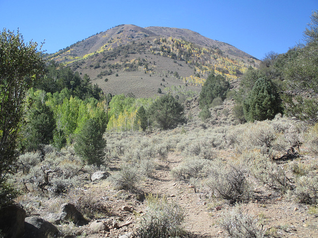 Mt-Jefferson 10