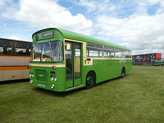 Stonham Barns 'The Big Bus Show' - 13 Aug 2023 (P1160031)