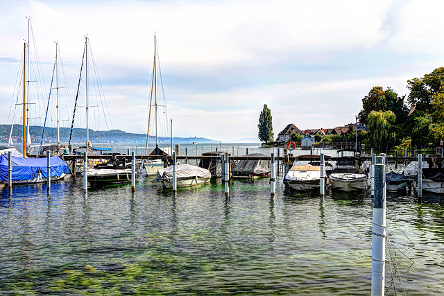 Bodman, Bodensee