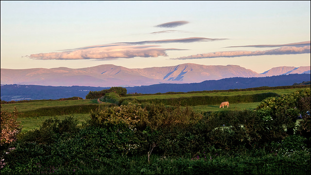 The Snowdon Hills