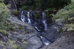 Surprise Creek Falls