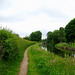 Looking towards Wightwick Mill Bridge Staffordshire and Worcestershire Canal