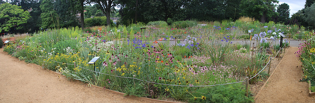 Horniman Museum & Gardens