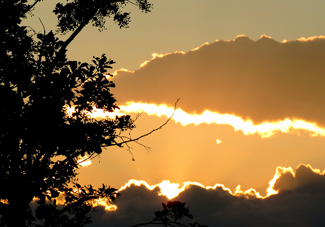 Beautyfull clouds this weather